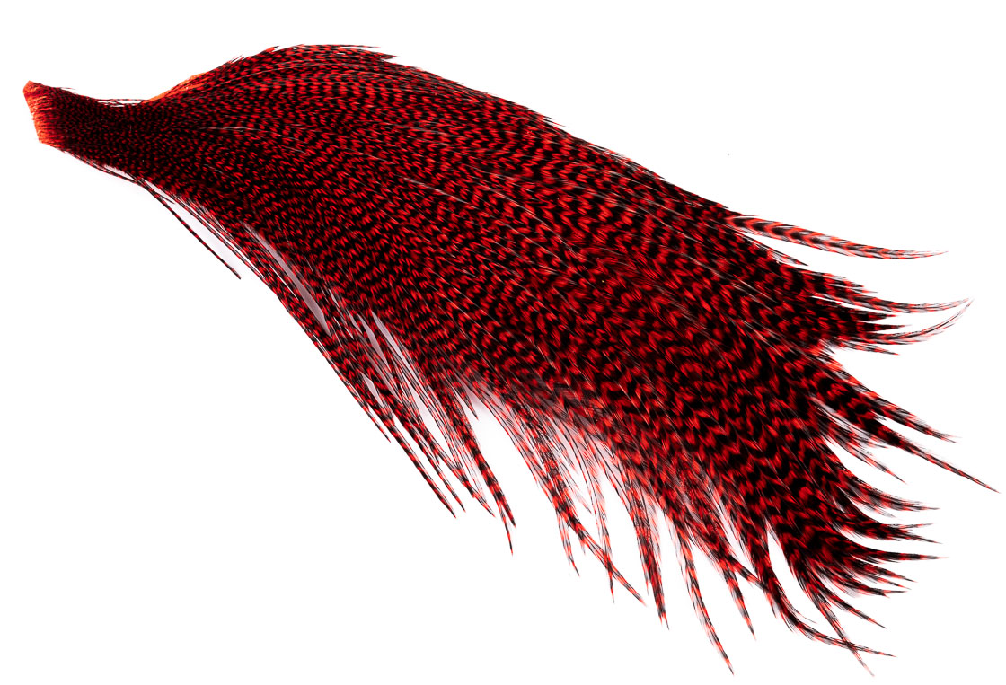 P-16087_GrRed grizzly red