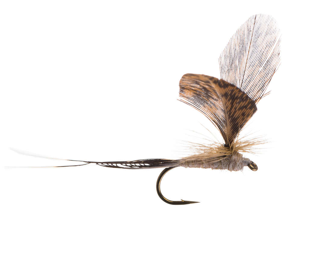 Trockenfliege - Ephemerella Danica Dun cream / brown