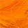 crawdad orange