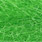 caddis green