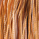 barred medium ginger