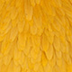 dirty golden yellow