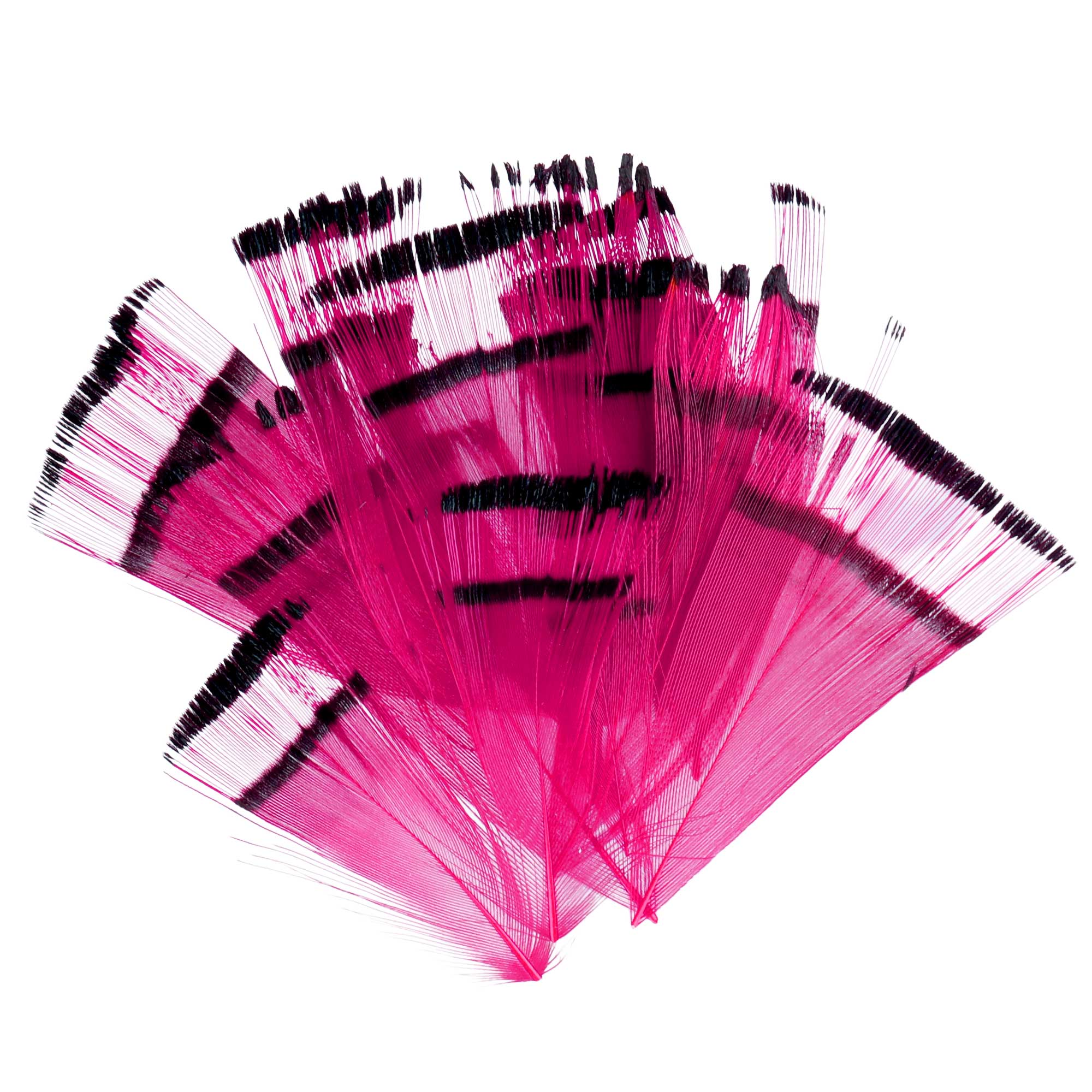 Soldarini Golden Pheasant Feathers 10pc Pack