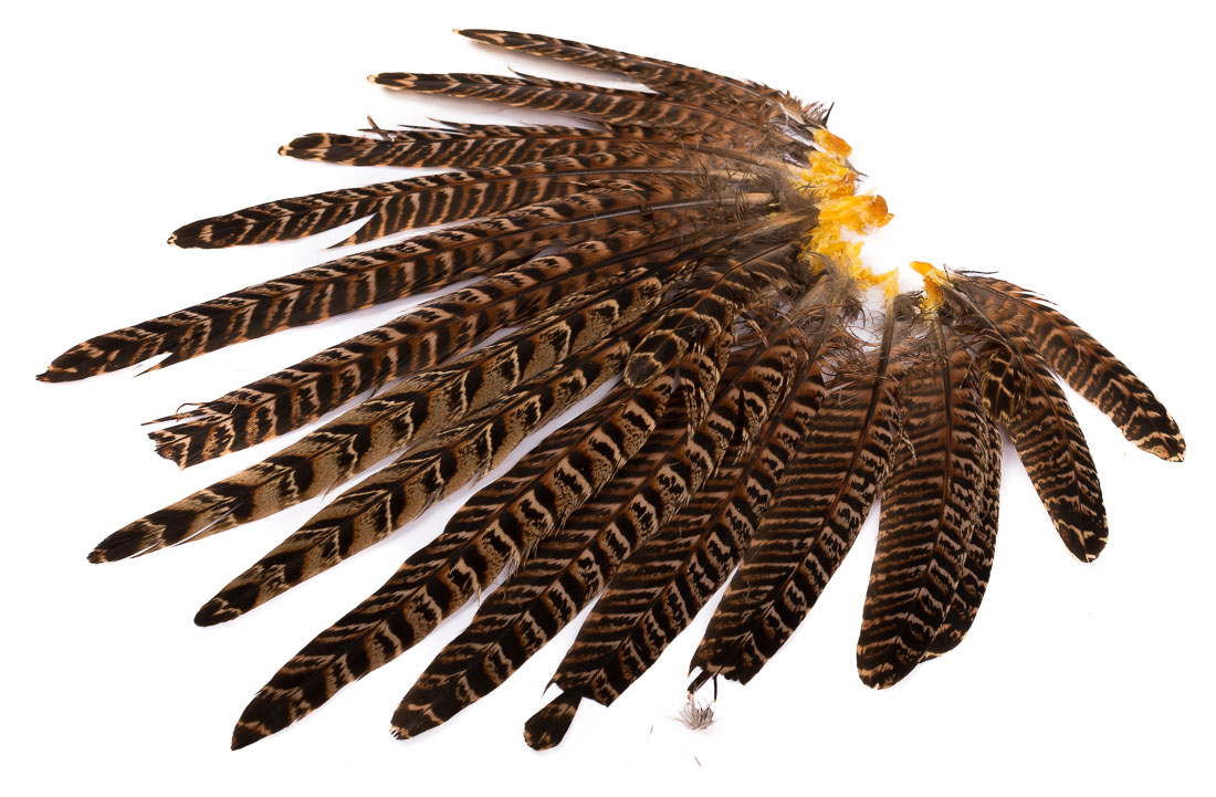 Veniard Hen Pheasant Complete Tail