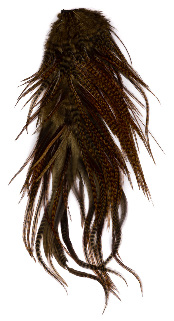 sculpin olive