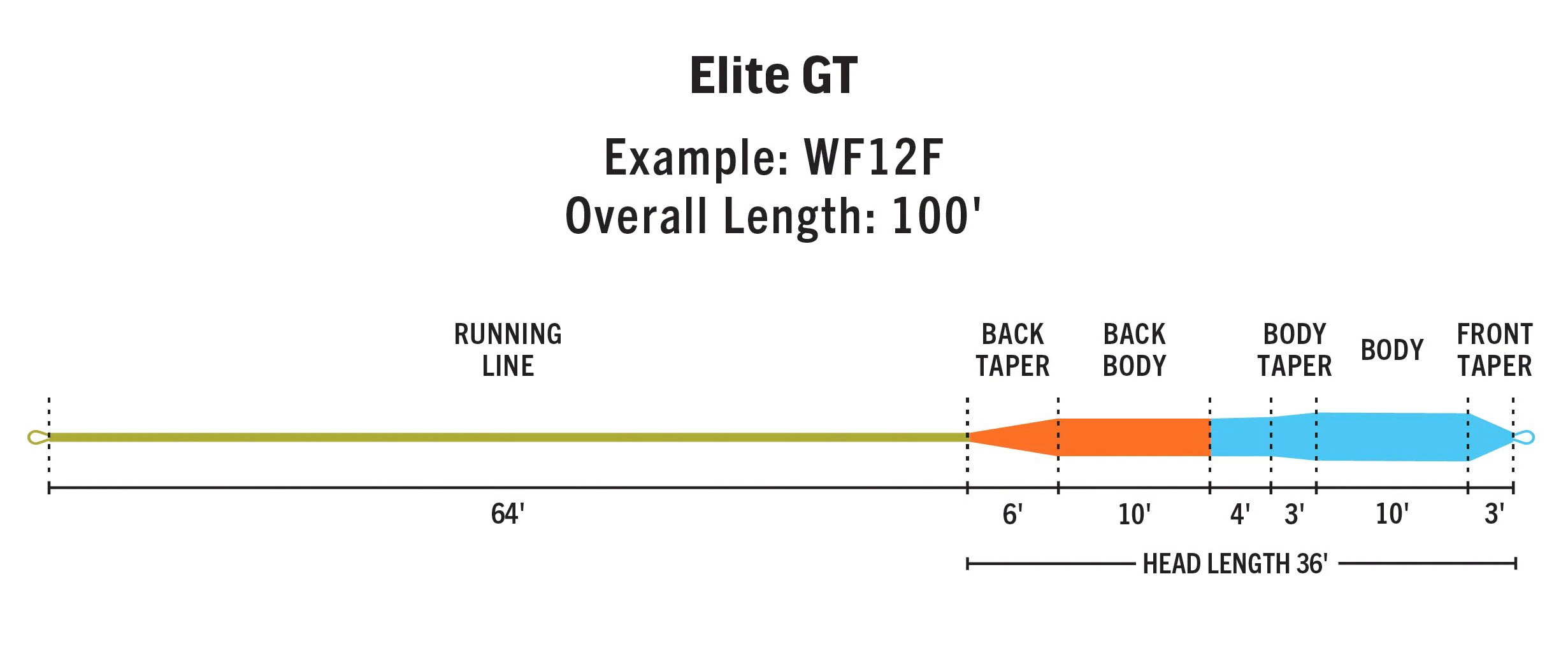 Rio_Elite_GT_Fly_Line_3