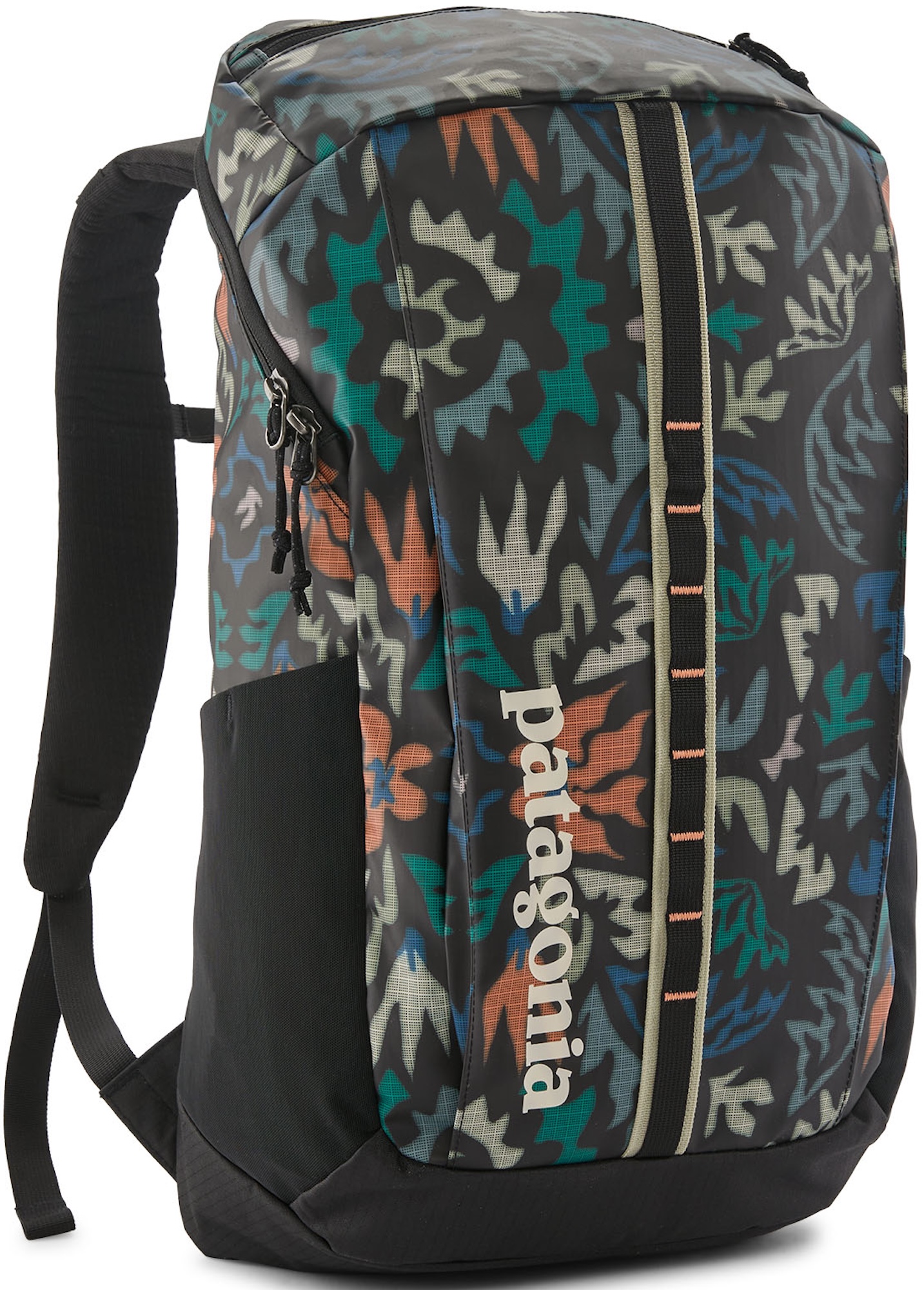 Patagonia Black Hole Pack 25L Rucksack KALB
