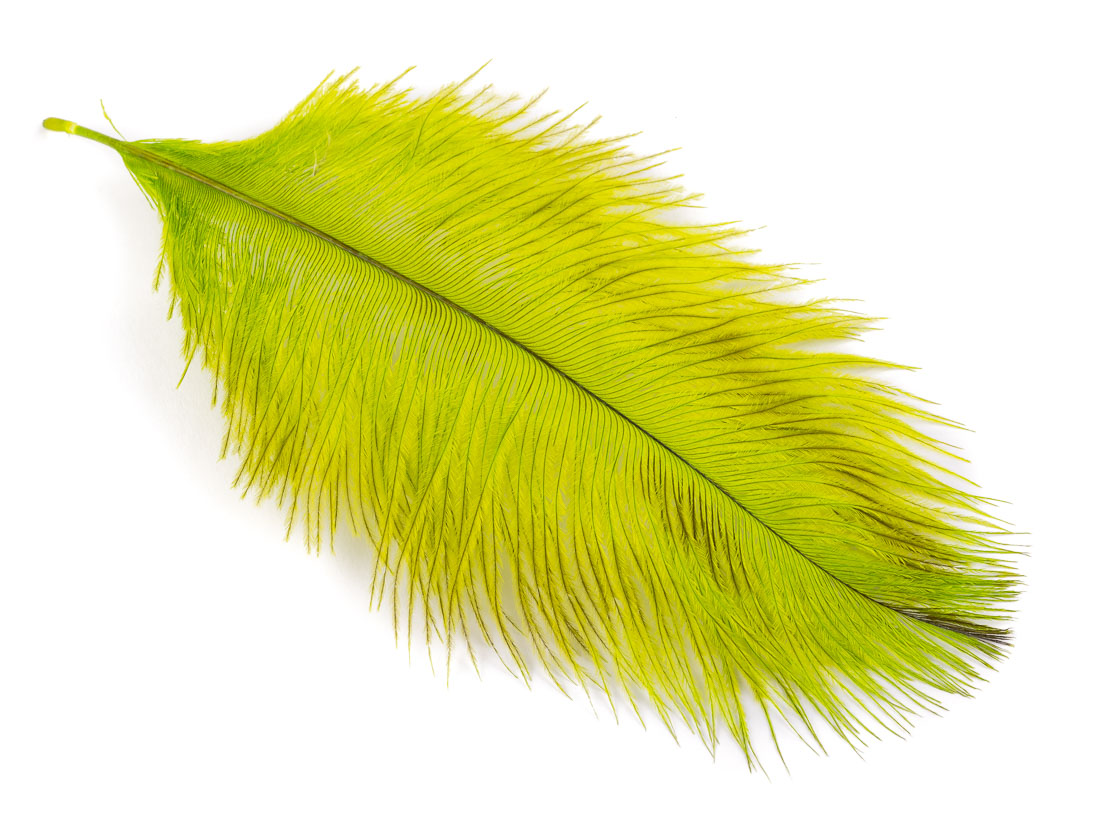 fluo chartreuse