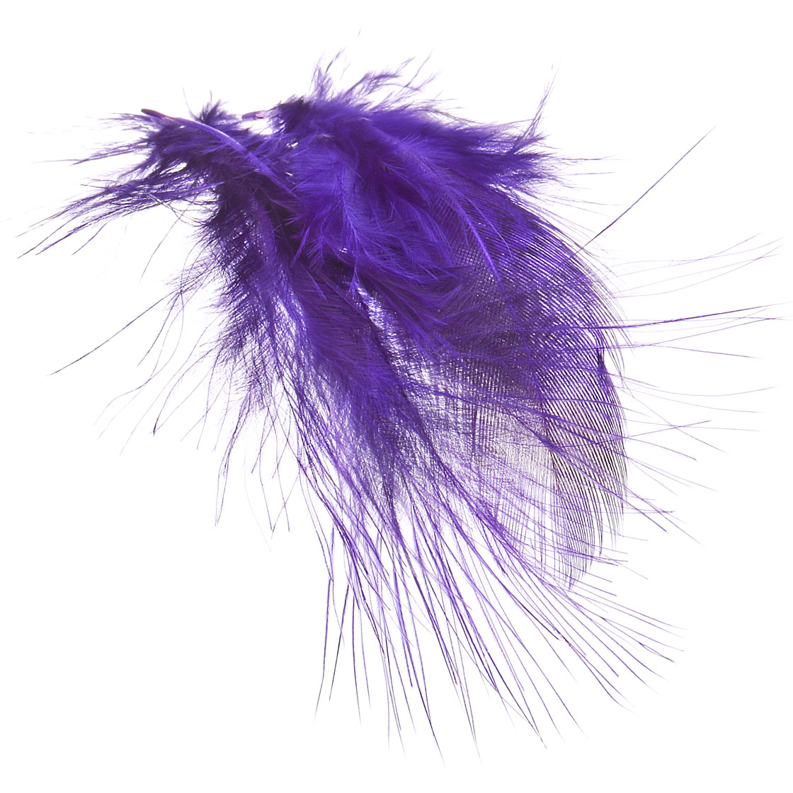 Bright Purple