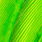 fluo green