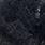 33 black