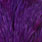 white dyed purple