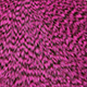 grizzly pink