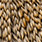 barred variant