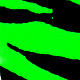 fluo chartreuse barred