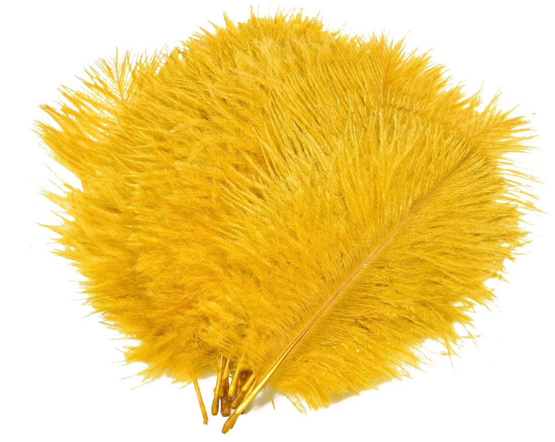 lion yellow