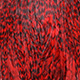 grizzly dyed red