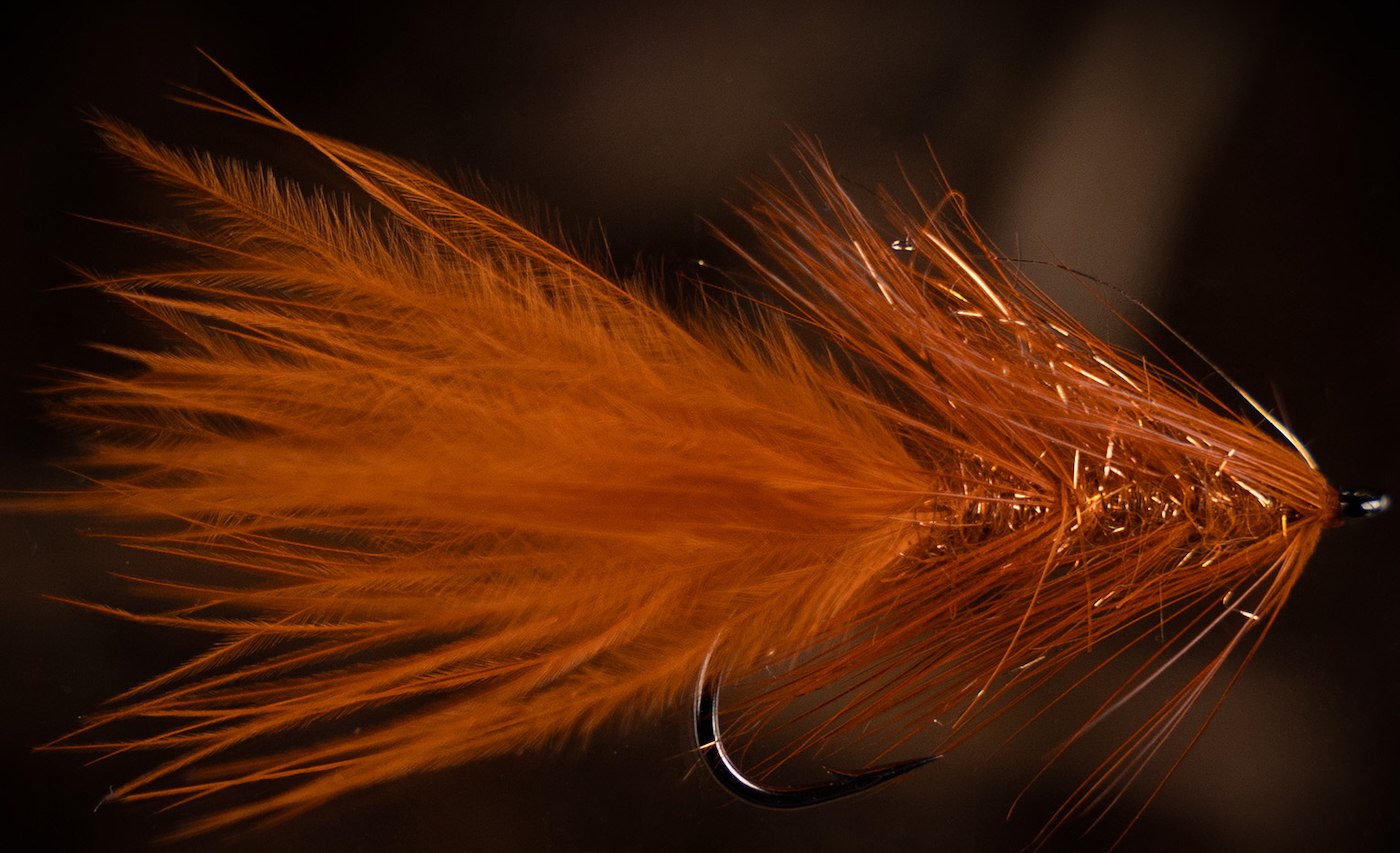 Future Fly Burnt Orange Bugger Meerforellenfliege