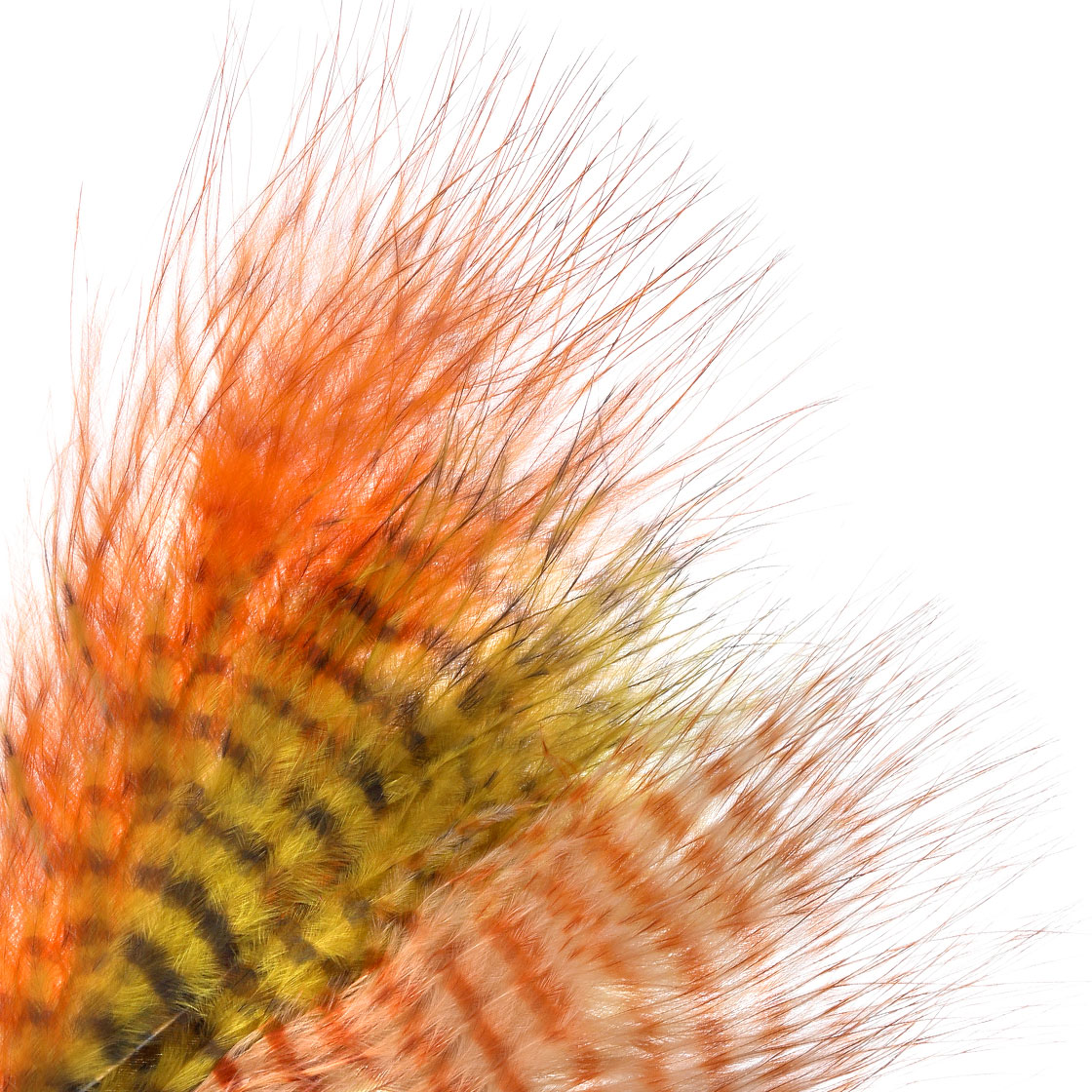 P-27105_mini-barred-marabou MFC Mini Barred Marabou Grizzly Mini Marabou Federn