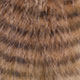 tan/barred black