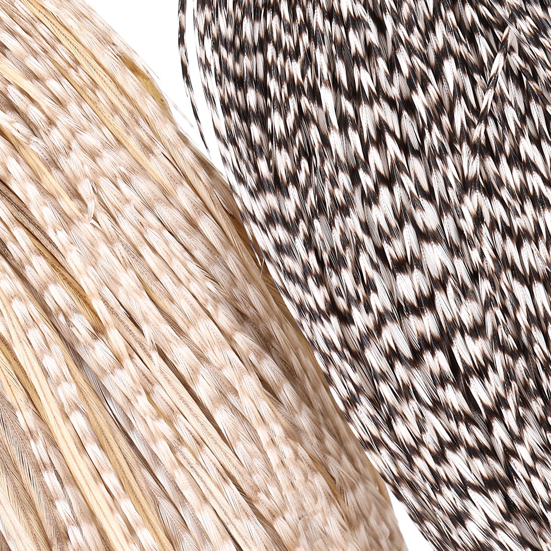 P-25397_Whiting-Introductory-Hackle-Pack-Four-1_2-Capes_detail