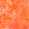 uv coral