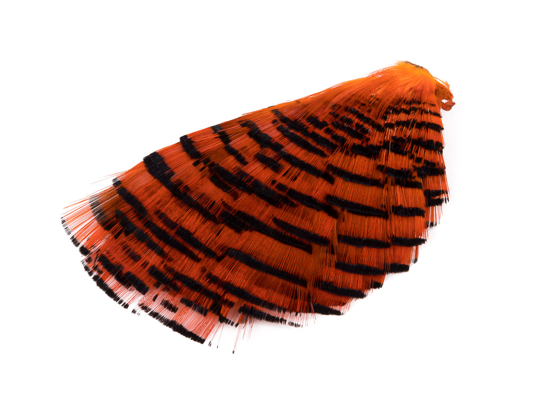 dyed orange