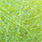 just chartreuse