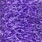 bright purple