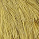white dyed golden olive