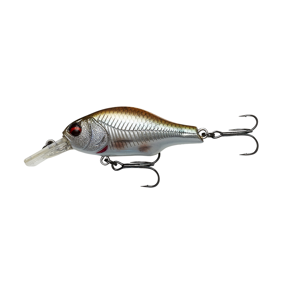 Roach