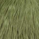 white dyed dark olive