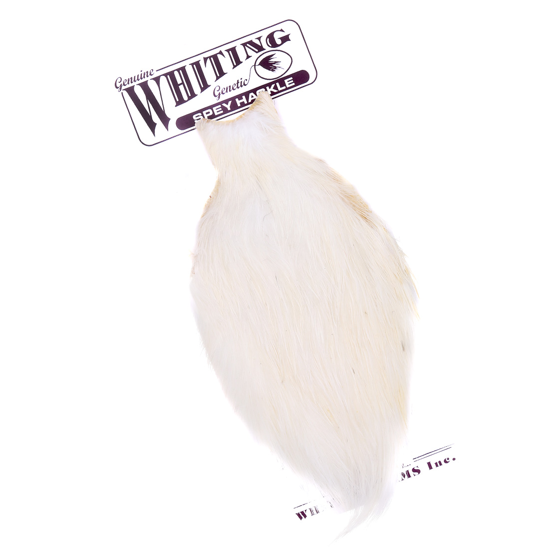 Whiting Spey Hackle Hen Cape
