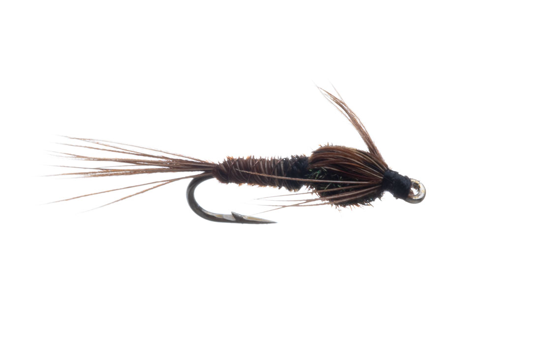 Kami Flies Nymphe - Pheasant Tail