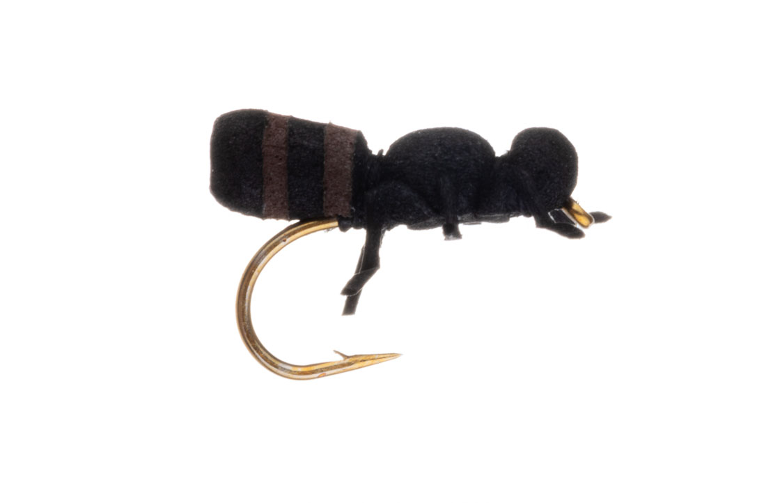 Vania Realistic True Ant Ameise Trockenfliege cinnamon