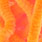 fluo orange