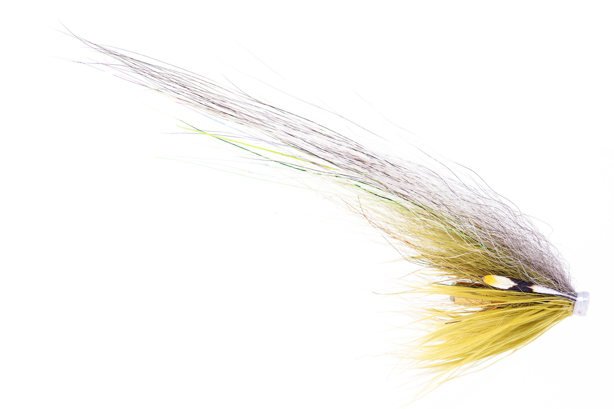 Guideline Tubenfliege Hajas Andersson Boliven grey