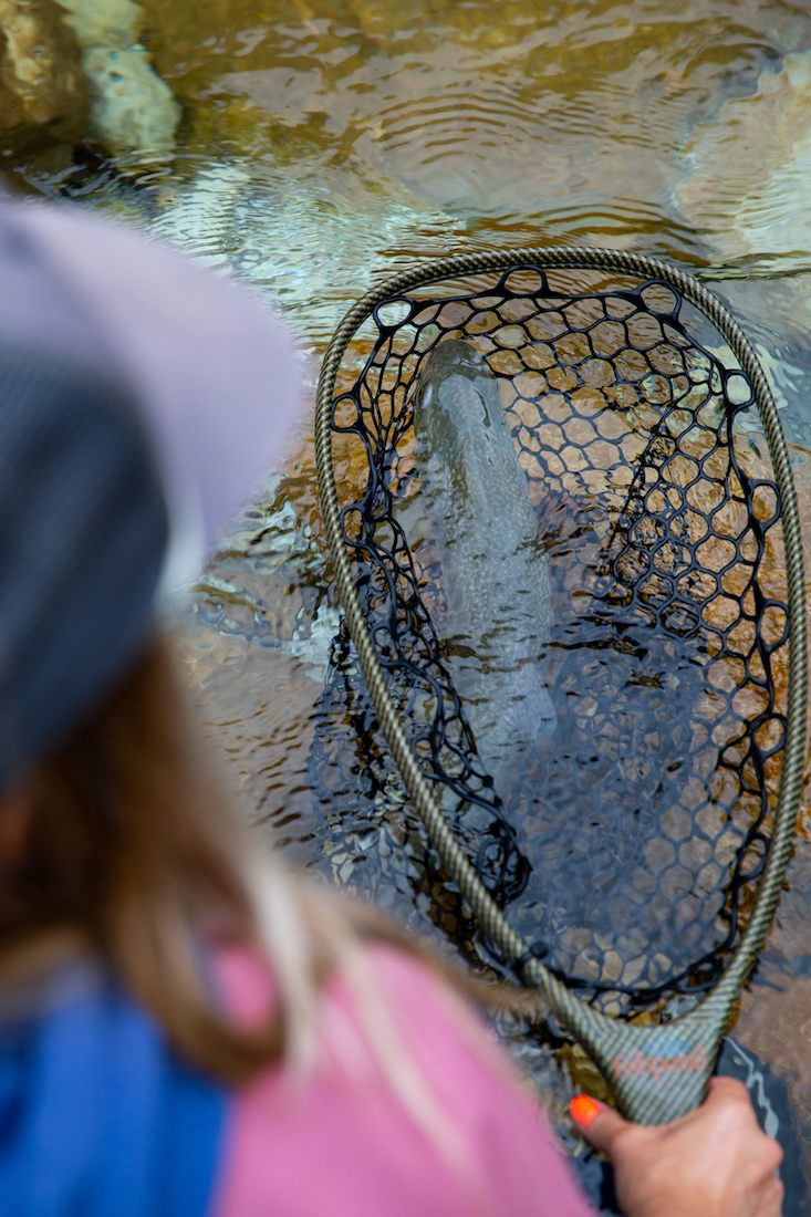 9-17-2022-26 Beispiel River Armor