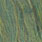 caddis pupa green