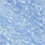 misty blue