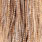 barred medium ginger