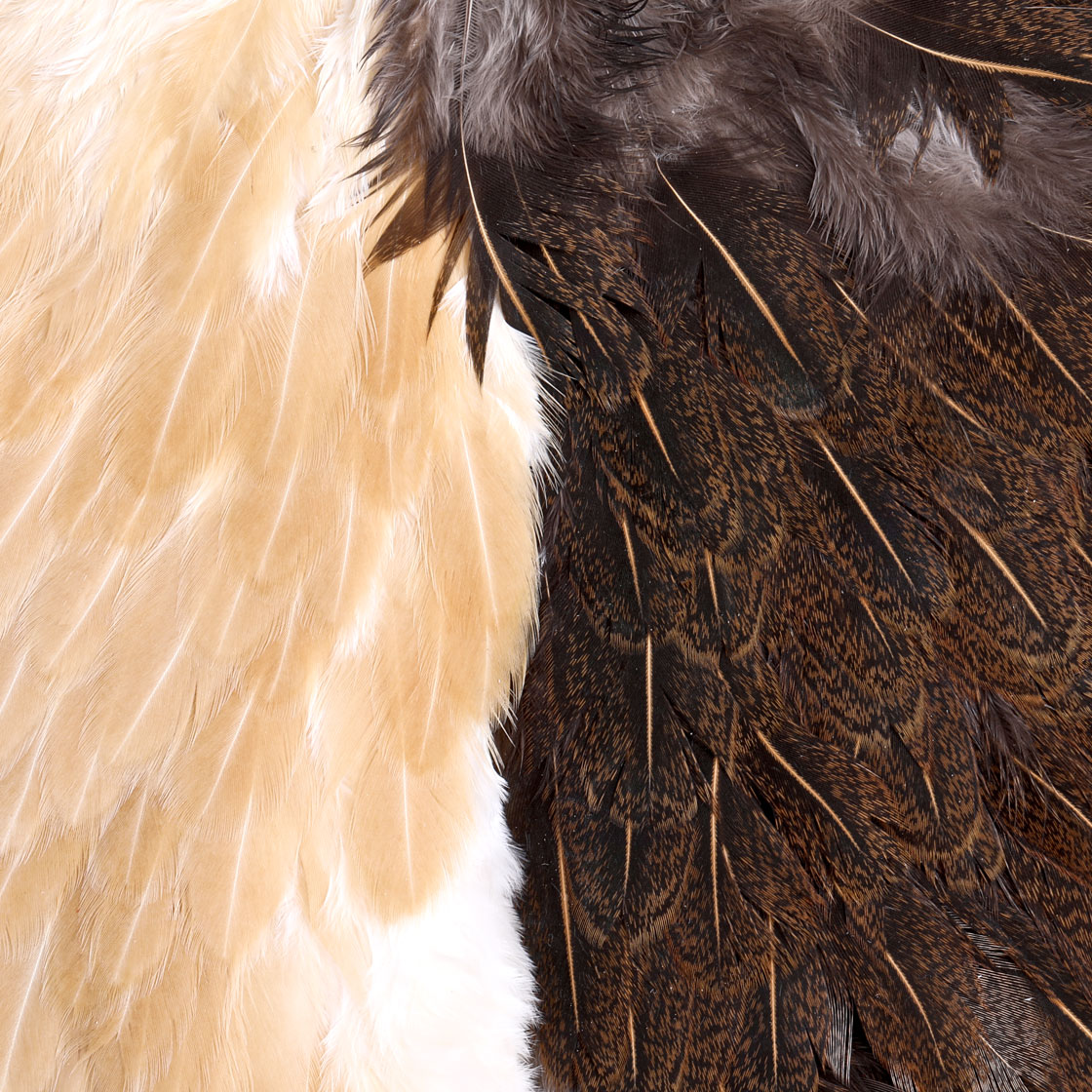 P-25399_Whiting-Introductory-Soft-Hackle-Pack-2-Half-Capes_2-Half_detail-1