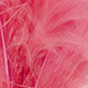 fluo coral