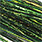 bright green