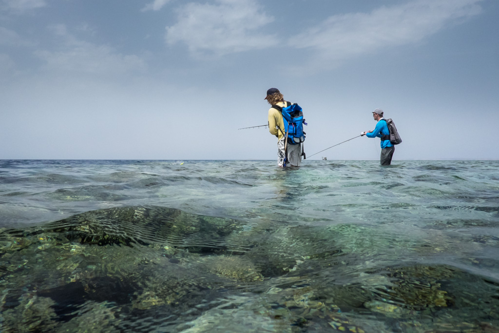 sudan2015-22 - Fliegenfischen auf den Nubischen Flats