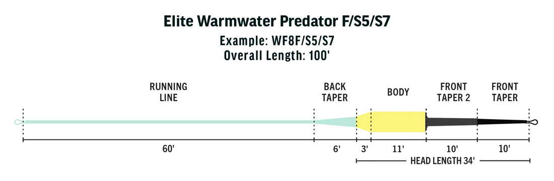 Rio_Elite_Warmwater_Predator_Taper_S5_S7
