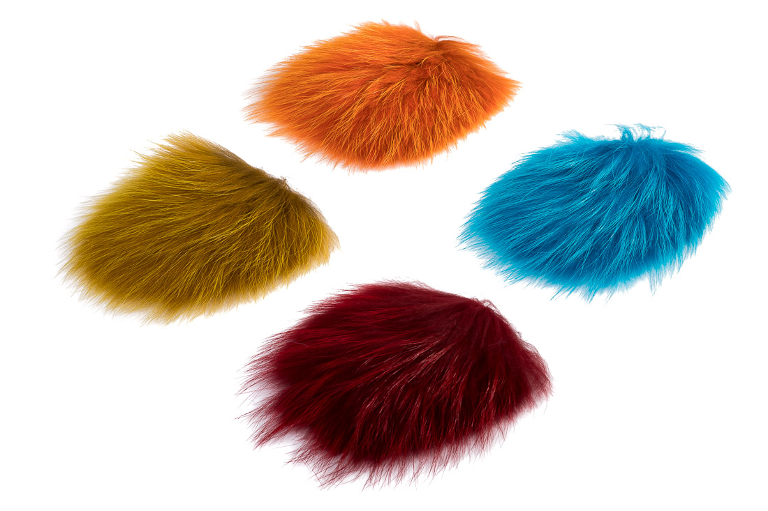 future_fly_tanuki_title_1