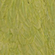 white dyed olive