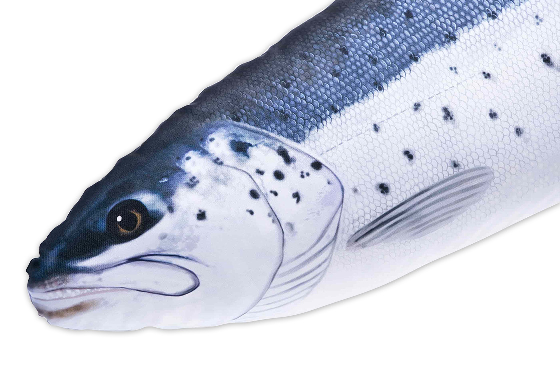 P-29211_Fischkissen_Kuscheltier_Meerforelle_110cm_detail Fischkissen Kuscheltier Meerforelle 110cm