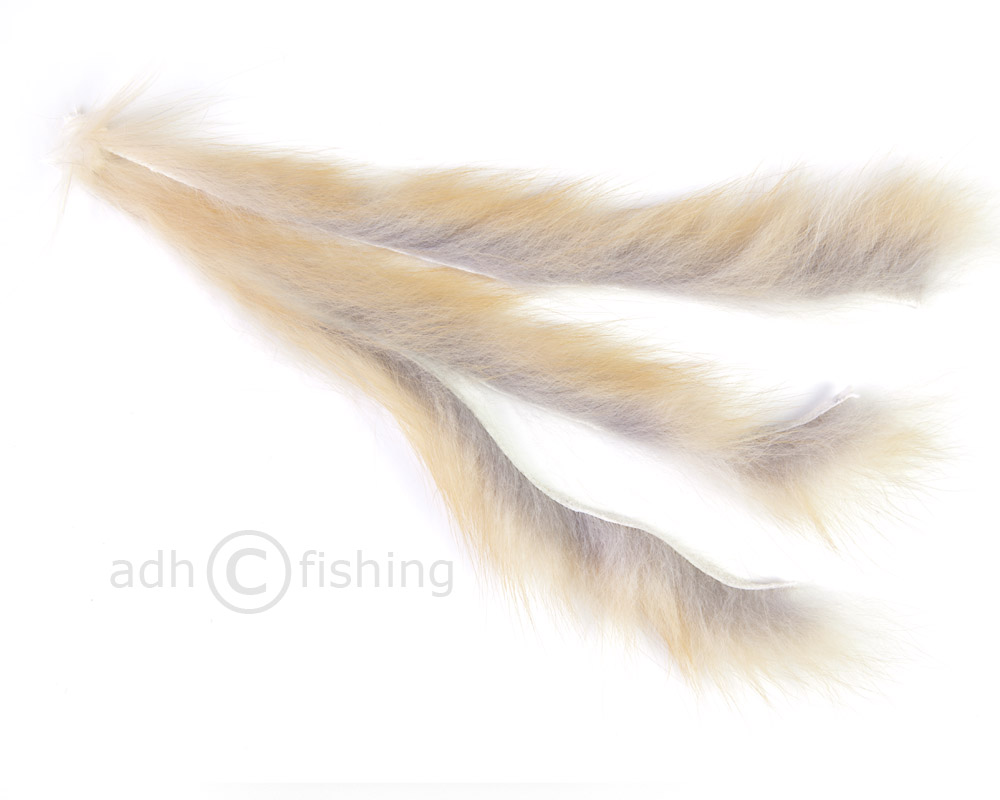 Rotfuchs Red Fox Zonker